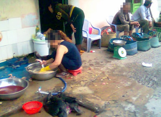 An illegal slaughter house in HCMC (Photo: SGGP) An illegal slaughter house in HCMC (Photo: SGGP)